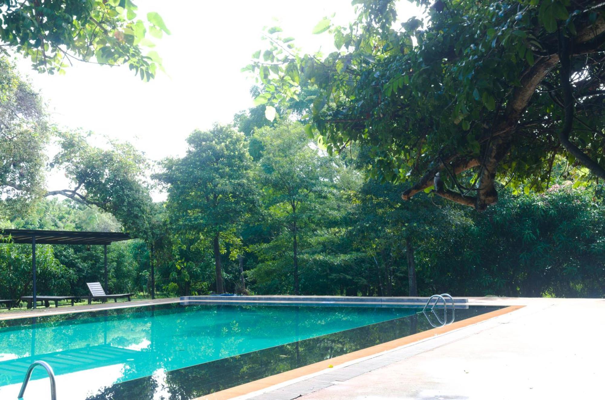 Pinthaliya Resort Sigirija Zewnętrze zdjęcie
