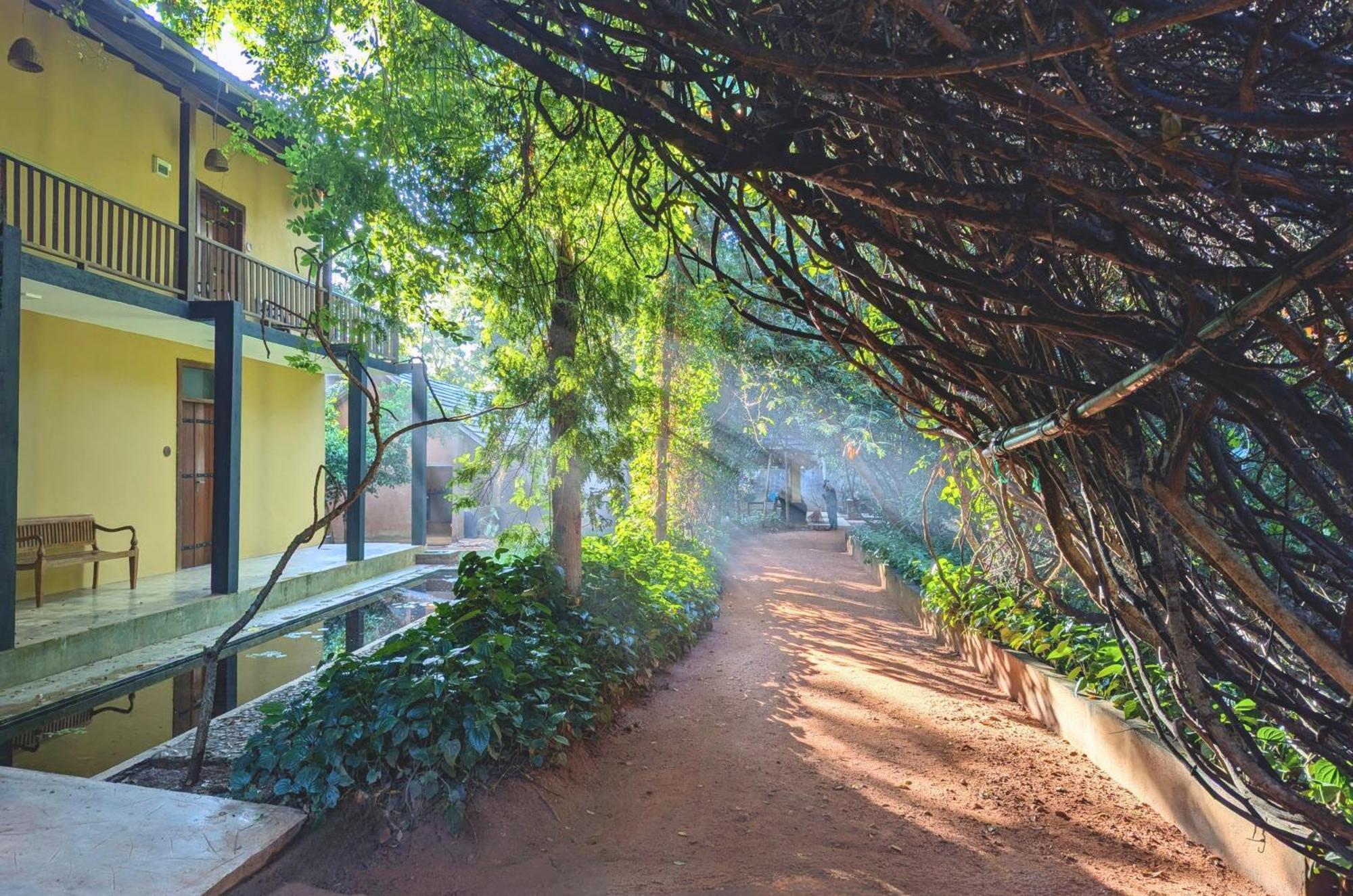 Pinthaliya Resort Sigirija Zewnętrze zdjęcie