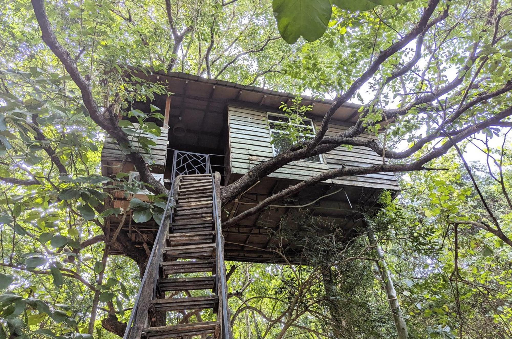 Pinthaliya Resort Sigirija Zewnętrze zdjęcie
